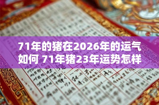 71年的猪在2026年的运气如何 71年猪23年运势怎样 71年的猪在2026年的运气如何 71年猪23年运势怎样