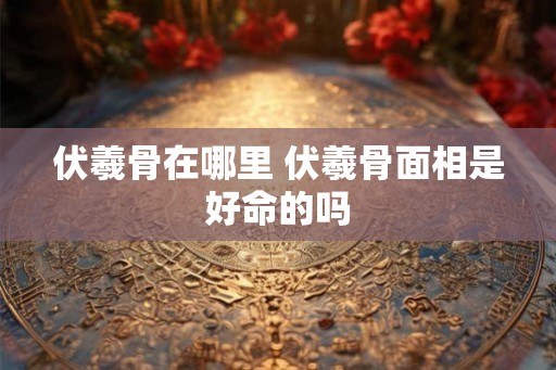 伏羲骨在哪里 伏羲骨面相是好命的吗