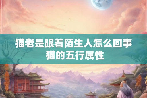 猫老是跟着陌生人怎么回事 猫的五行属性