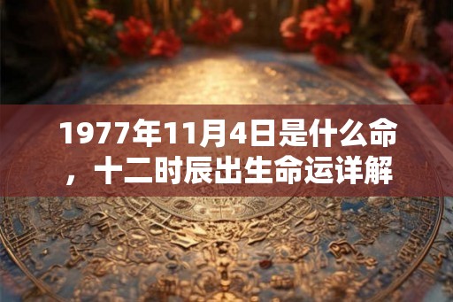 1977年11月4日是什么命，十二时辰出生命运详解