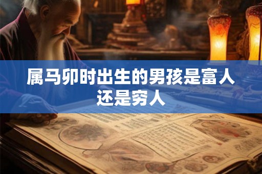 属马卯时出生的男孩是富人还是穷人 属马卯时出生的男孩是富人还是穷人