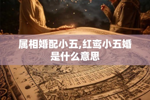 属相婚配小五,红鸾小五婚是什么意思
