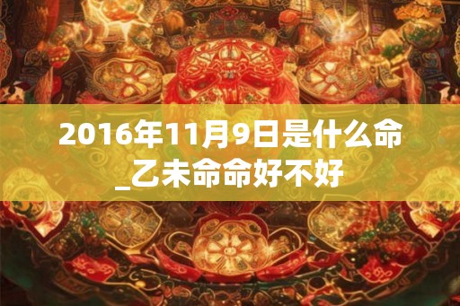 2016年11月9日是什么命_乙未命命好不好