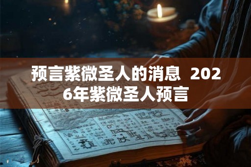 预言紫微圣人的消息  2026年紫微圣人预言