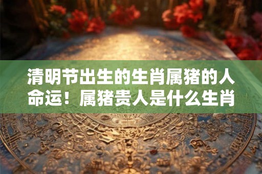 清明节出生的生肖属猪的人命运！属猪贵人是什么生肖？