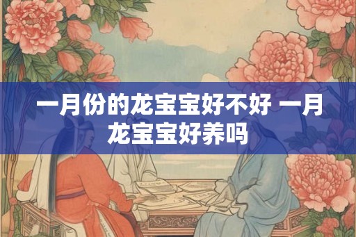 一月份的龙宝宝好不好 一月龙宝宝好养吗