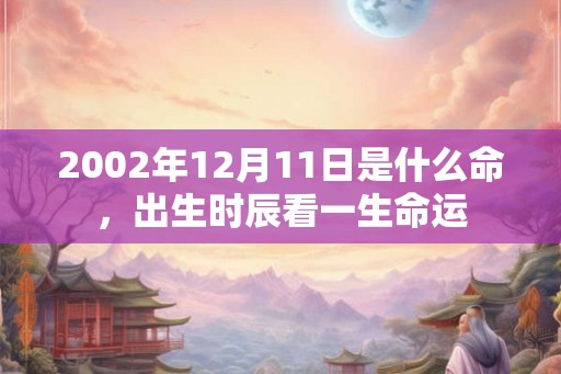 2002年12月11日是什么命，出生时辰看一生命运