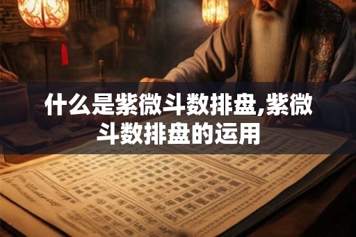 什么是紫微斗数排盘,紫微斗数排盘的运用