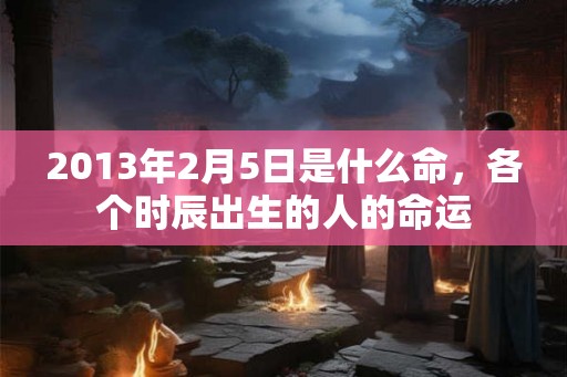 2013年2月5日是什么命，各个时辰出生的人的命运