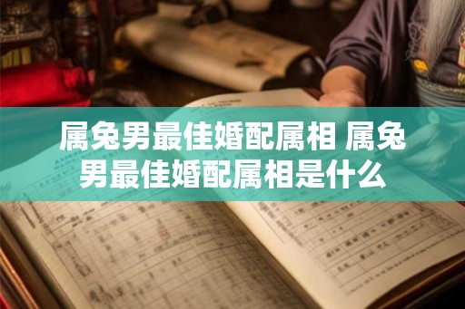 属兔男最佳婚配属相 属兔男最佳婚配属相是什么 属兔男最佳婚配属相 属兔男最佳婚配属相是什么