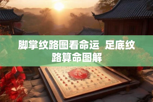 脚掌纹路图看命运  足底纹路算命图解