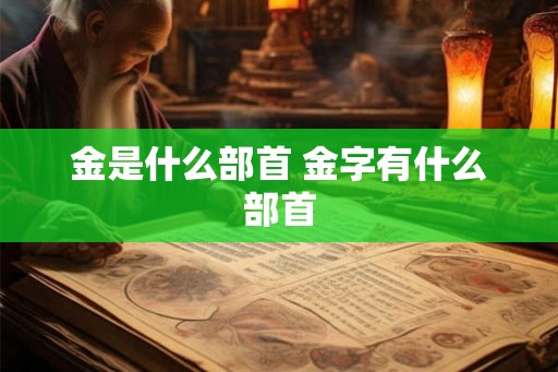 金是什么部首 金字有什么部首
