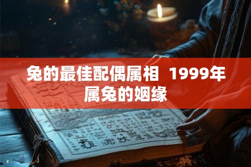 兔的最佳配偶属相  1999年属兔的姻缘