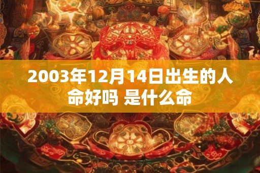 2003年12月14日出生的人命好吗 是什么命