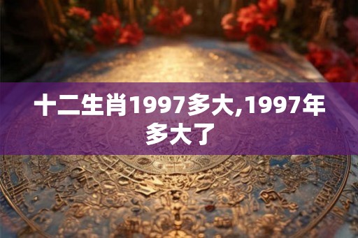 十二生肖1997多大,1997年多大了