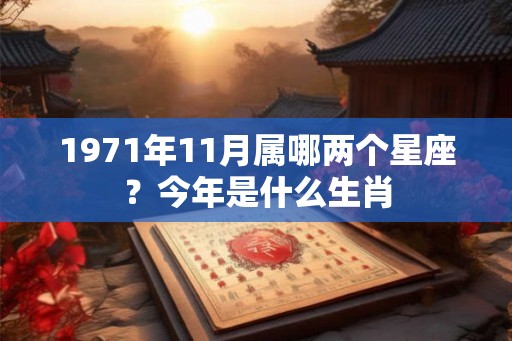1971年11月属哪两个星座?今年是什么生肖 1971年11月属哪两个星座?今年是什么生肖
