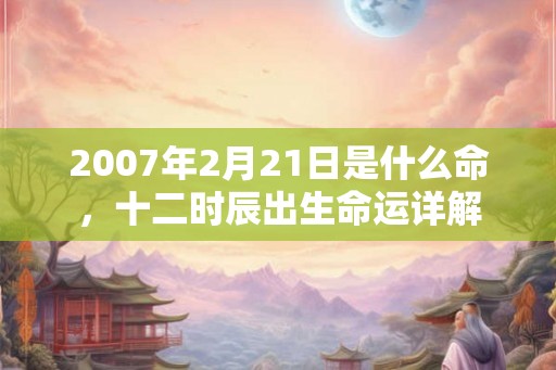 2007年2月21日是什么命，十二时辰出生命运详解
