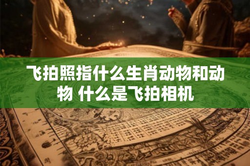 飞拍照指什么生肖动物和动物 什么是飞拍相机