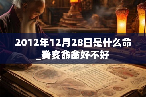 2012年12月28日是什么命_癸亥命命好不好