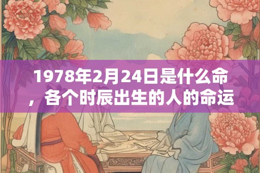 1978年2月24日是什么命，各个时辰出生的人的命运