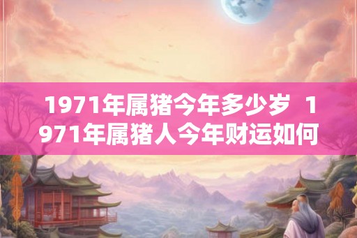 1971年属猪今年多少岁  1971年属猪人今年财运如何