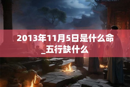 2013年11月5日是什么命_五行缺什么