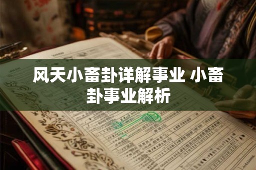 风天小畜卦详解事业 小畜卦事业解析
