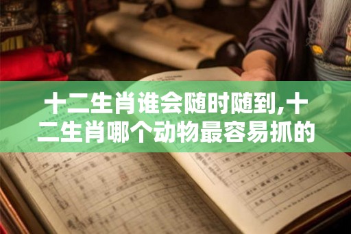 十二生肖谁会随时随到,十二生肖哪个动物最容易抓的到