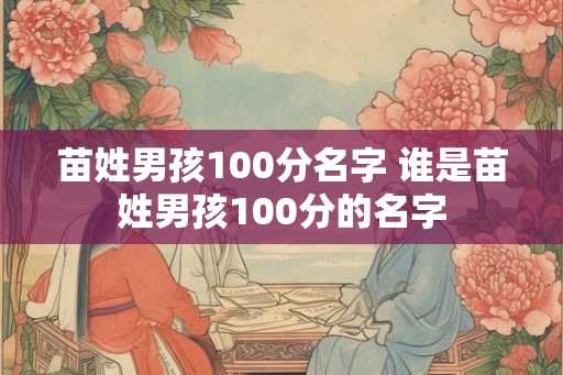 苗姓男孩100分名字 谁是苗姓男孩100分的名字