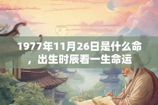 1977年11月26日是什么命，出生时辰看一生命运