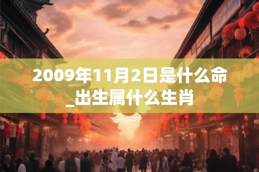 2009年11月2日是什么命_出生属什么生肖