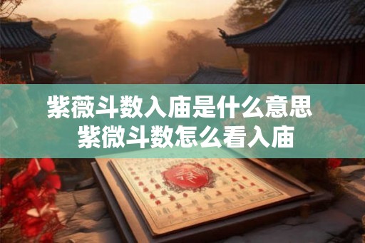 紫薇斗数入庙是什么意思  紫微斗数怎么看入庙
