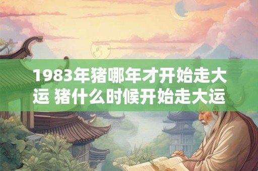 1983年猪哪年才开始走大运 猪什么时候开始走大运 1983年猪哪年才开始走大运 猪什么时候开始走大运