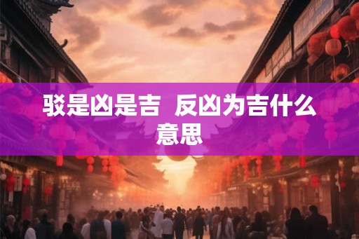 驳是凶是吉  反凶为吉什么意思