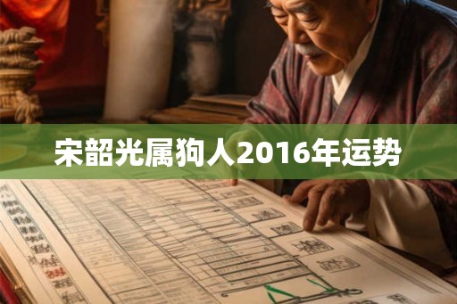 宋韶光属狗人2016年运势