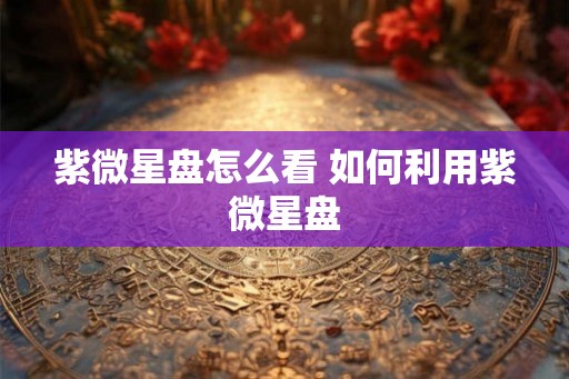 紫微星盘怎么看 如何利用紫微星盘