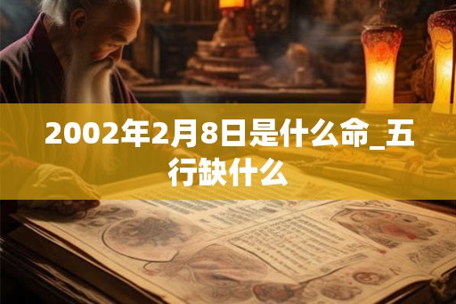 2002年2月8日是什么命_五行缺什么