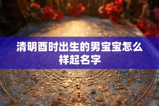 清明酉时出生的男宝宝怎么样起名字 清明酉时出生的男宝宝怎么样起名字