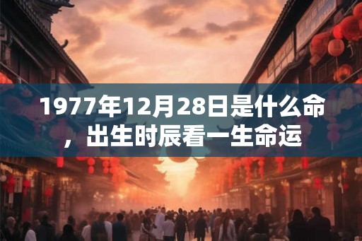 1977年12月28日是什么命，出生时辰看一生命运