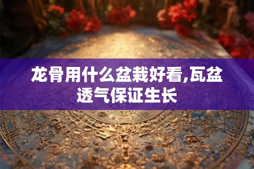 龙骨用什么盆栽好看,瓦盆透气保证生长