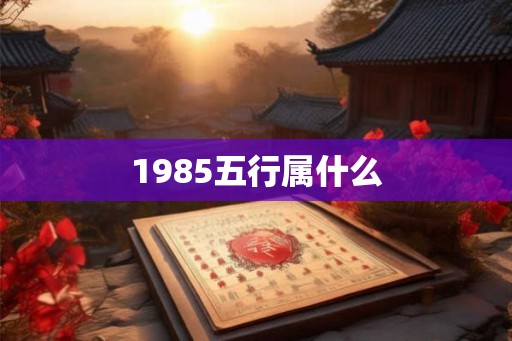 1985五行属什么