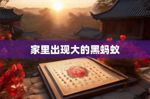 家里出现大的黑蚂蚁
