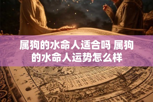 属狗的水命人适合吗 属狗的水命人运势怎么样