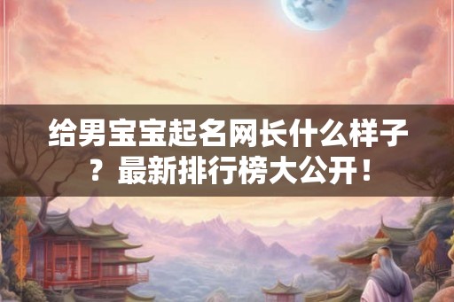 给男宝宝起名网长什么样子？最新排行榜大公开！