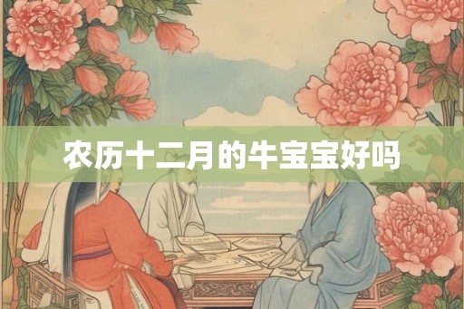 农历十二月的牛宝宝好吗