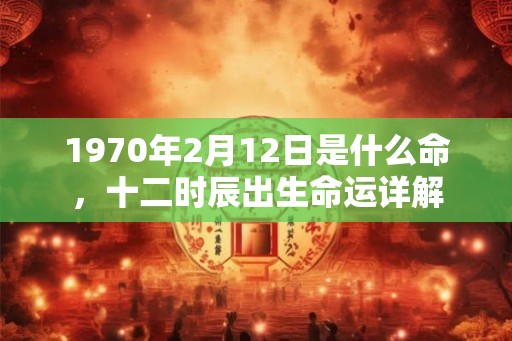 1970年2月12日是什么命，十二时辰出生命运详解