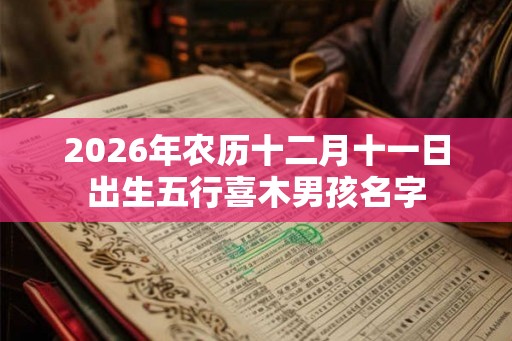 2026年农历十二月十一日出生五行喜木男孩名字