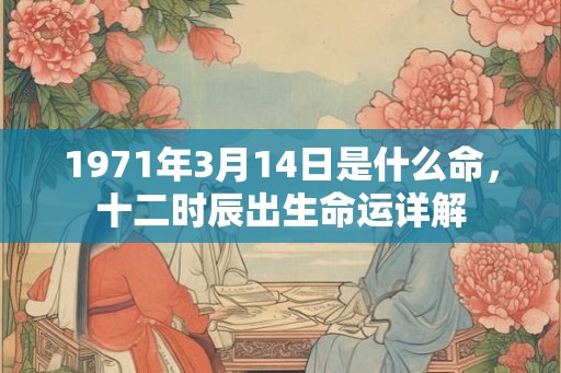 1971年3月14日是什么命，十二时辰出生命运详解