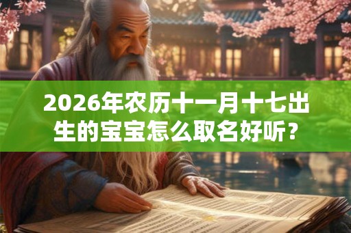 2026年农历十一月十七出生的宝宝怎么取名好听？