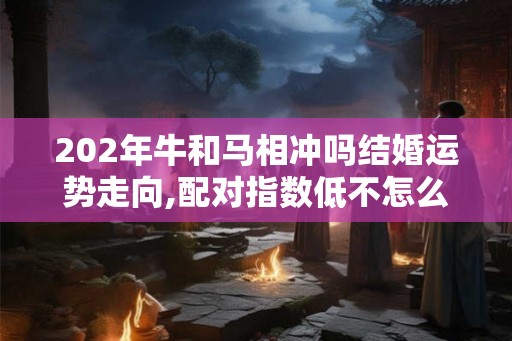 202年牛和马相冲吗结婚运势走向,配对指数低不怎么理想 202年牛和马相冲吗结婚运势走向,配对指数低不怎么理想